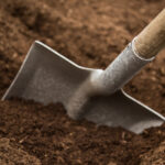 home-600x600-pf_schop